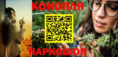 spice Малгобек