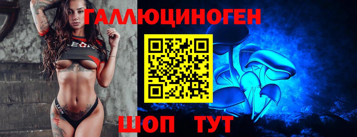 Добрянка  Галлюциногенные грибы Cubensis  Псилоцибиновые грибы GOLDEN TEACHER  Вход с VPN 