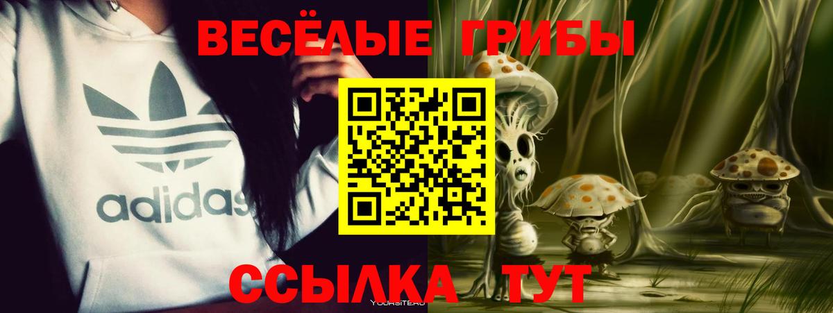 Галлюциногенные грибы GOLDEN TEACHER Добрянка